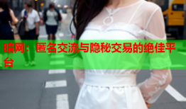 暗网：匿名交流与隐秘交易的绝佳平台