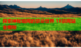 探索神秘暗网的禁忌世界 18禁网站全揭秘