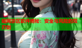 暗网禁区软件揭秘：安全与风险的双刃剑