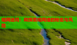暗网迷局：窥探黑暗网络的秘密与风险