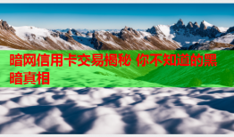 暗网信用卡交易揭秘 你不知道的黑暗真相