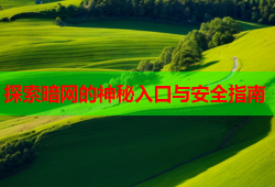 探索暗网的神秘入口与安全指南