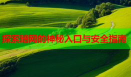 探索暗网的神秘入口与安全指南