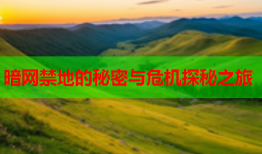 暗网禁地的秘密与危机探秘之旅