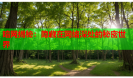 暗网揭秘：隐藏在网络深处的秘密世界