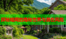 探秘暗网的隐秘世界与潜在风险