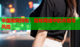中国暗网探秘：隐秘网络中的真相与风险