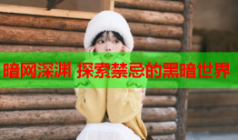 暗网深渊 探索禁忌的黑暗世界