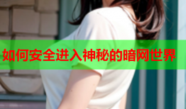 如何安全进入神秘的暗网世界