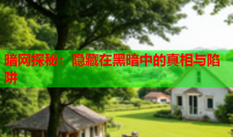 暗网探秘：隐藏在黑暗中的真相与陷阱