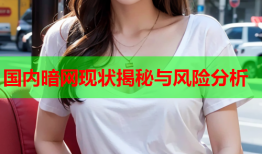 国内暗网现状揭秘与风险分析