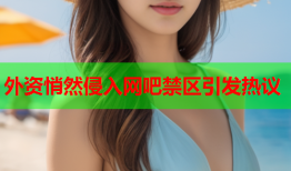 外资悄然侵入网吧禁区引发热议