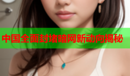 中国全面封堵暗网新动向揭秘