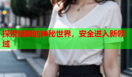 探索暗网的神秘世界，安全进入新领域