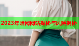 2023年暗网网站探秘与风险揭秘