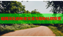 暗网深处的秘密交流与隐秘社群探索