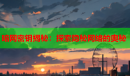 暗网密钥揭秘：探索隐秘网络的奥秘