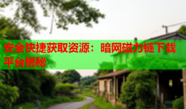 安全快捷获取资源：暗网磁力链下载平台揭秘