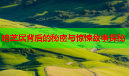 暗芝居背后的秘密与惊悚故事探秘