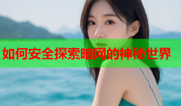 如何安全探索暗网的神秘世界