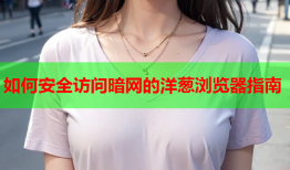 如何安全访问暗网的洋葱浏览器指南