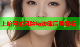 上暗网的风险与法律后果解析