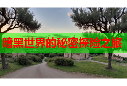 暗黑世界的秘密探险之旅