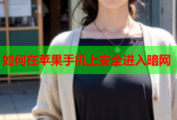 如何在苹果手机上安全进入暗网