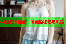中国暗网揭秘：潜藏的秘密与风险