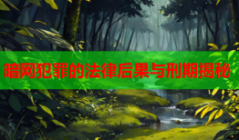 暗网犯罪的法律后果与刑期揭秘