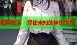暗网拍卖 - 探秘未知的神秘世界