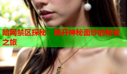 暗网禁区探秘：揭开神秘面纱的秘密之旅