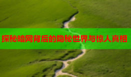 探秘暗网背后的隐秘世界与惊人真相