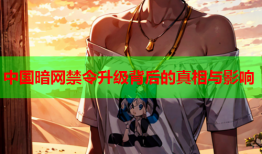 中国暗网禁令升级背后的真相与影响