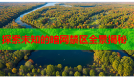探索未知的暗网禁区全景揭秘