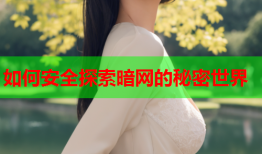 如何安全探索暗网的秘密世界