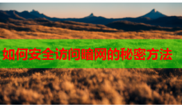 如何安全访问暗网的秘密方法