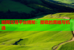 暗网交易平台揭秘：潜藏的黑暗与机遇