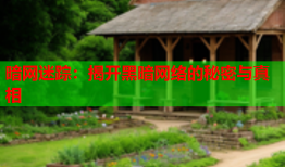 暗网迷踪：揭开黑暗网络的秘密与真相