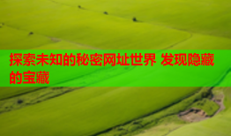 探索未知的秘密网址世界 发现隐藏的宝藏