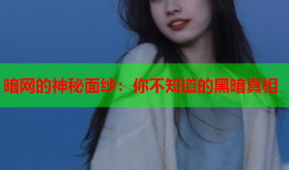 暗网的神秘面纱：你不知道的黑暗真相