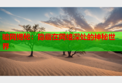 暗网揭秘：隐藏在网络深处的神秘世界