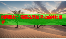 暗网揭秘：隐藏在网络深处的神秘世界