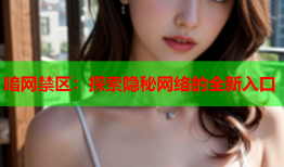 暗网禁区：探索隐秘网络的全新入口