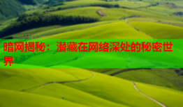 暗网揭秘：潜藏在网络深处的秘密世界