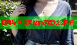暗网与18禁网站的深度对比解析