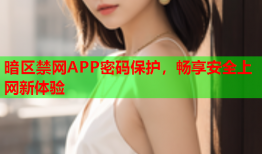 暗区禁网APP密码保护，畅享安全上网新体验