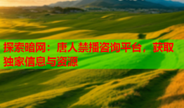 探索暗网：唐人禁播咨询平台，获取独家信息与资源
