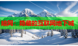 暗网：隐藏的互联网地下城