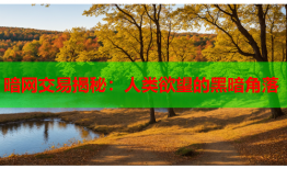 暗网交易揭秘：人类欲望的黑暗角落